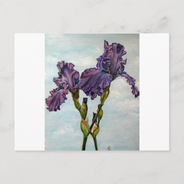 Purple bearded iris flowers postkarte (Vorderseite)