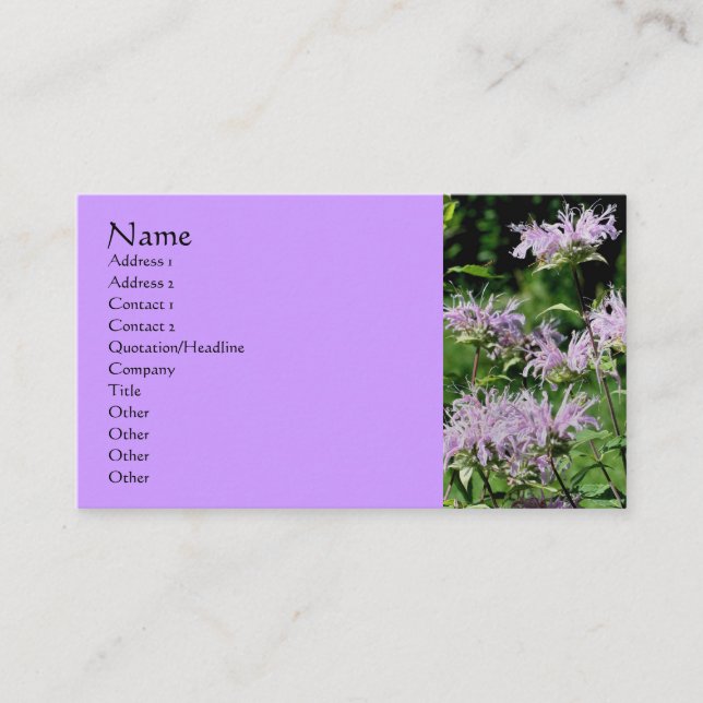 Purple Bee Balm Carte de visite de photographie (Devant)