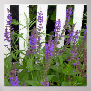 Purple Blue Flower Fence Poster