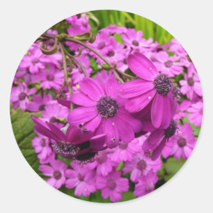 Purple Blumen aus San Francisco Runder Aufkleber