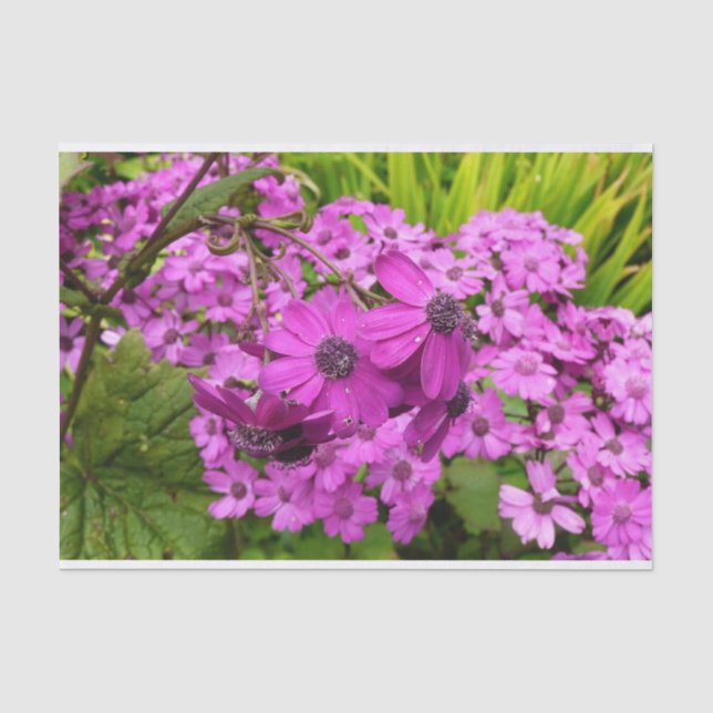 Purple Blumen aus San Francisco Seidenpapier (Vorderseite)