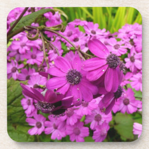 Purple Blumen aus San Francisco Untersetzer
