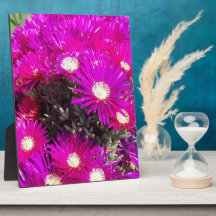 Purple Blumen