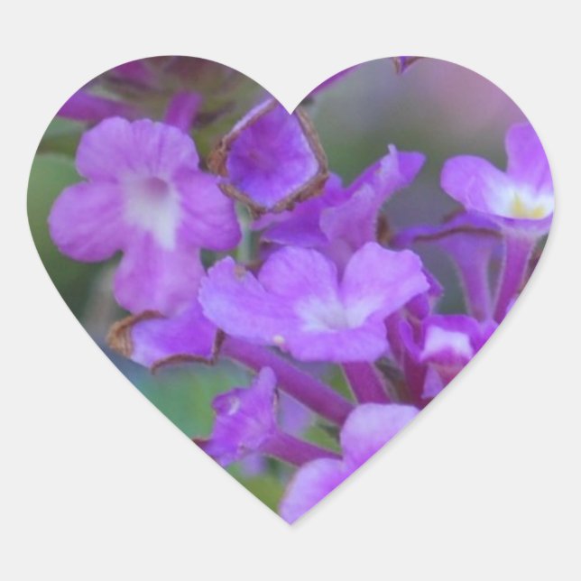 Purple Blumen Herz-Aufkleber (Vorderseite)