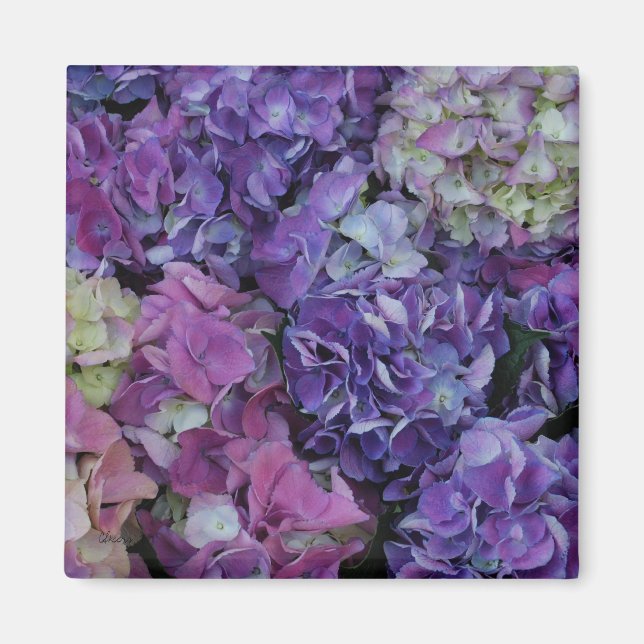Purple Blumen Magnet (Vorne)