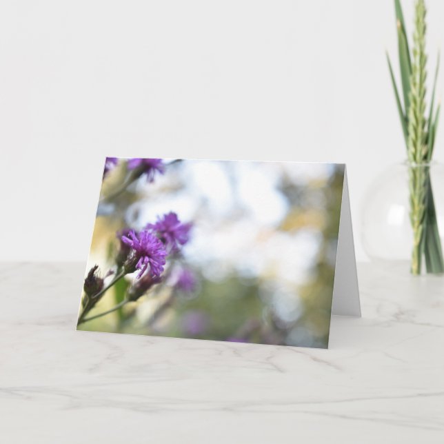 Purple Blumen Sommernaturfotografie Karte (Vorderseite)