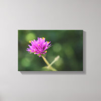 Purple Blumen Sommernaturfotografie