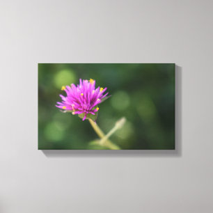 Purple Blumen Sommernaturfotografie Leinwanddruck