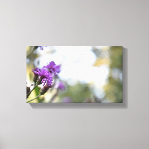 Purple Blumen Sommernaturfotografie Leinwanddruck