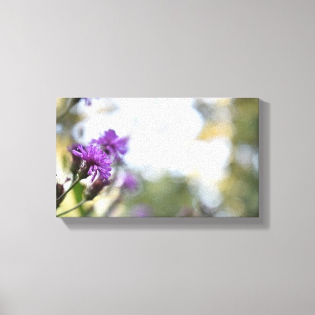 Purple Blumen Sommernaturfotografie Leinwanddruck (Vorderseite)