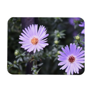 Purple Blumen Sommernaturfotografie Magnet