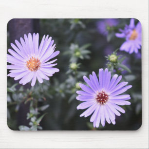 Purple Blumen Sommernaturfotografie Mousepad