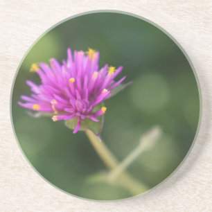 Purple Blumen Sommernaturfotografie Sandstein Untersetzer