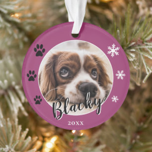 Purple Chien Chien Chien Chien Nom Photo Christmas