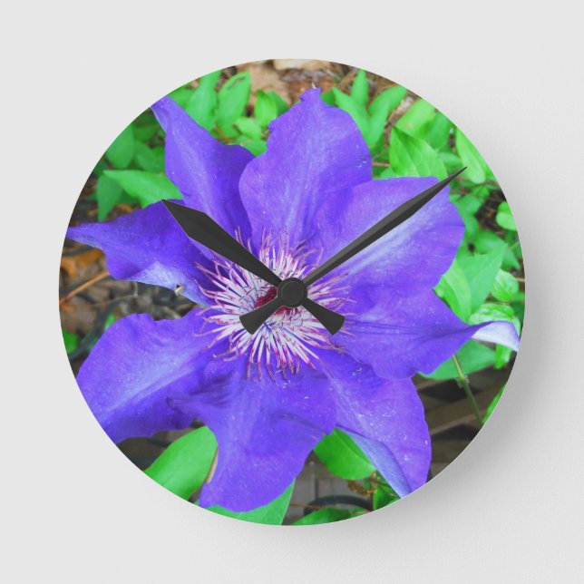 Purple Clematis Flower Runde Wanduhr (Vorderseite)