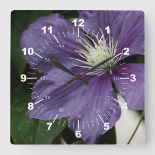 Purple Clematis Quadratische Wanduhr