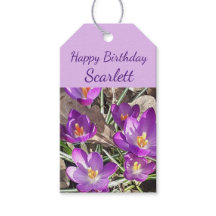Purple Crocus Birthday