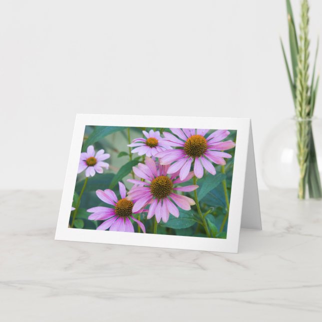 Purple Daisies # 248 Karte (Vorderseite)