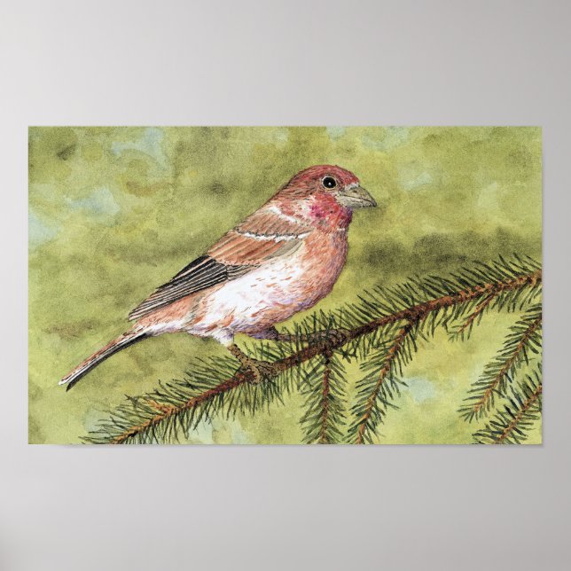 Purple Finch Art Poster (Vorne)