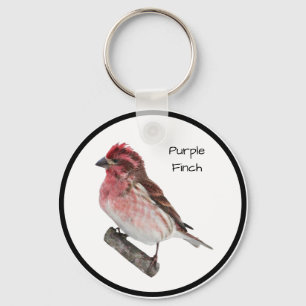 Purple Finch Schlüsselanhänger
