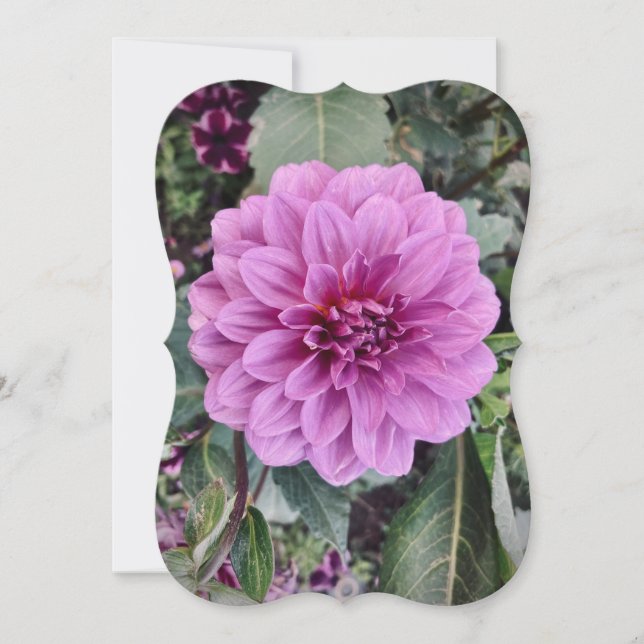 Purple Flower Card  (Vorderseite)