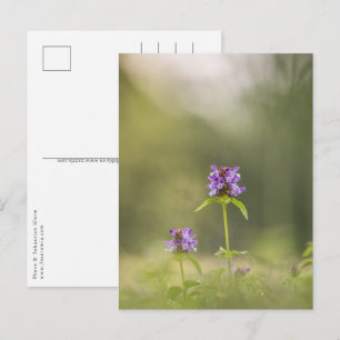 Purple Flower Nature Photo Postkarte