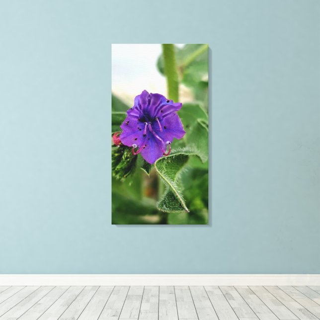 Purple flower spring flora collection leinwanddruck (Insitu (Holzboden))