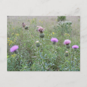 Purple Flowers #10 Postkarte