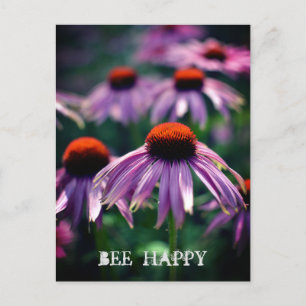 Purple Flowers auf der RHS Wisley Postcard Postkarte