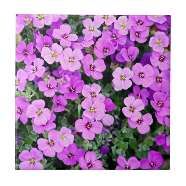 Purple Flowers Fliese (Vorderseite)