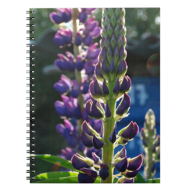 Purple Flowers Foto Notebook Notizblock (Vorderseite)