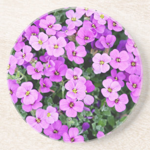 Purple Flowers Garden Getränkeuntersetzer