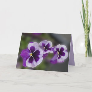 Purple Flowers Jeden Anlaß Blank Gruß Karte