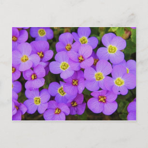 Purple Flowers Peace Liebe Destiny Postkarte