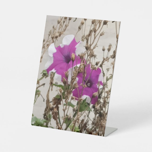 Purple Flowers Photo Sockelschild (Vorderseite)
