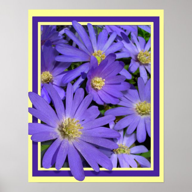 Purple Flowers Print Blue Daisis Art Poster (Vorne)