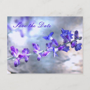 Purple Flowers Save the Date Ankündigungspostkarte