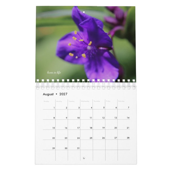 Purple Garden Flowers Kalender (Aug 2027)