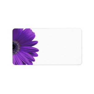 Purple Gerbera Daisy Blank Mariage Étiquettes de a