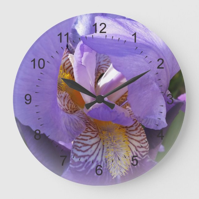 purple iris große wanduhr (Vorderseite)