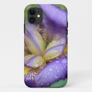 Purple Iris (Iris Germanica) Case-Mate iPhone Hülle