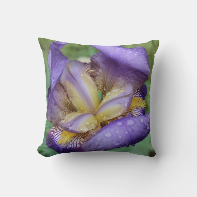 Purple Iris (Iris Germanica) Kissen (Vorderseite)