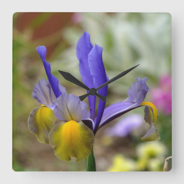 Purple Iris Wall Clock Quadratische Wanduhr (Vorderseite)