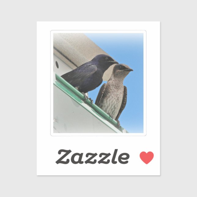 Purple Martin Pair Aufkleber (Blatt)