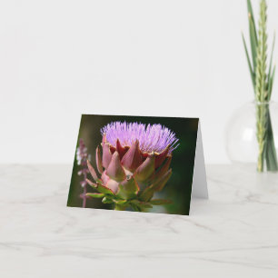 "PURPLE MUSK THISTLE"/PHOTOG. CARTE DE CORRESPONDA