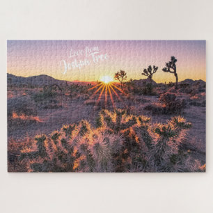 Purple Orange Cholla Cactus Joshua Tree Sunset art
