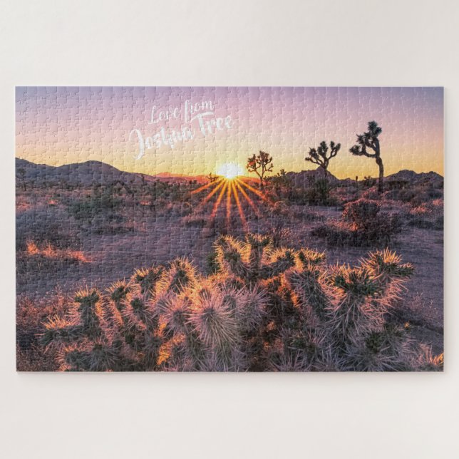 Purple Orange Cholla Cactus Joshua Tree Sunset art (Horizontal)