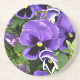 purple pansies sandstein untersetzer