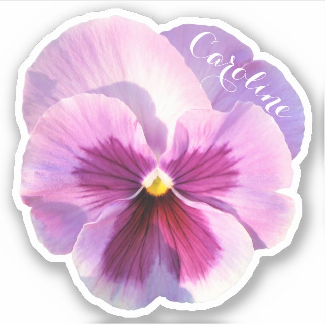 Purple Pansy Nom Personnalisé Countour Sticker (Devant)