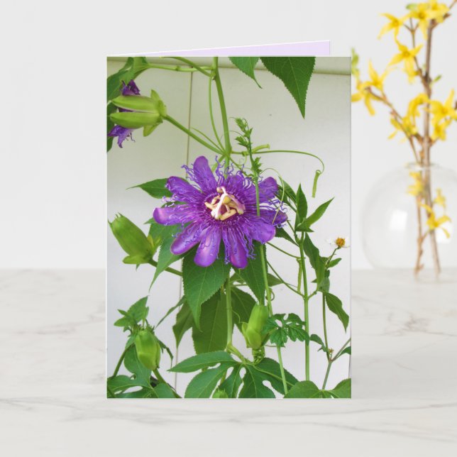 Purple Passion Flower - Portrait - Carte de voeux (Fleur jaune)